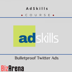 Twitter Ads at BizArena