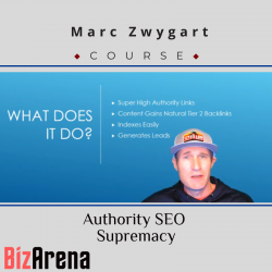 SEO & Traffic at BizArena