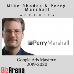 Google Ads at BizArena