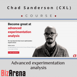 Digital Analytics at BizArena