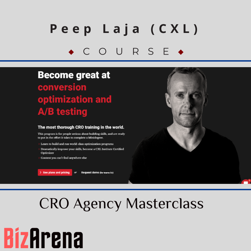 Peep Laja - CXL - CRO agency masterclass