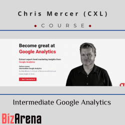 Digital Analytics at BizArena