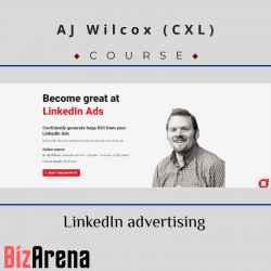 LinkedIn Growth at BizArena