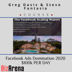 Facebook Ads at BizArena