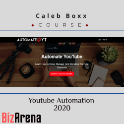 YouTube growth at BizArena