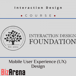 Website design at BizArena