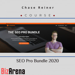 SEO & Traffic at BizArena