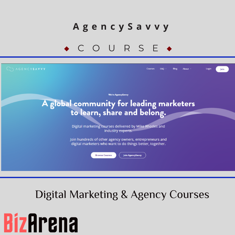 AgencySavvy - Digital Marketing & Agency Courses Image