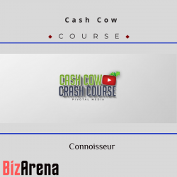 YouTube growth at BizArena