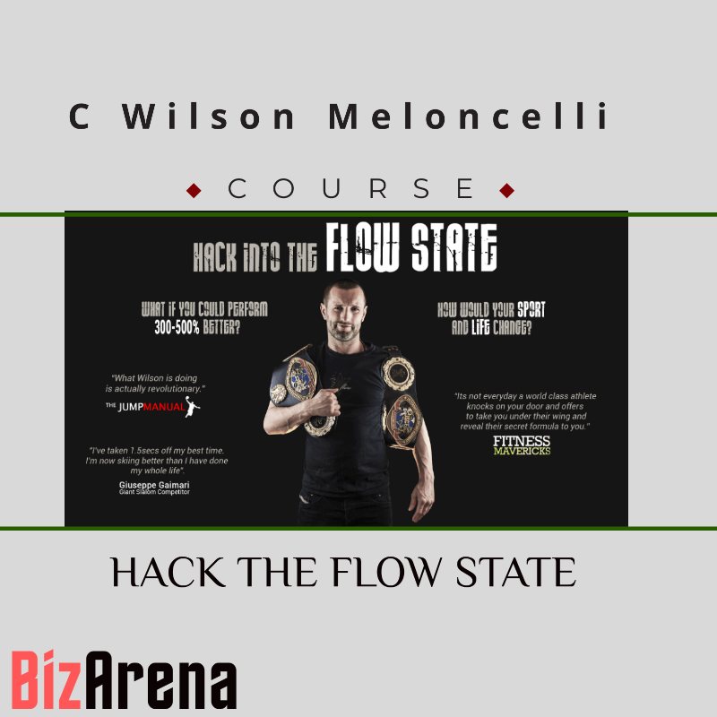 C Wilson Meloncelli - HACK THE FLOW STATE Image