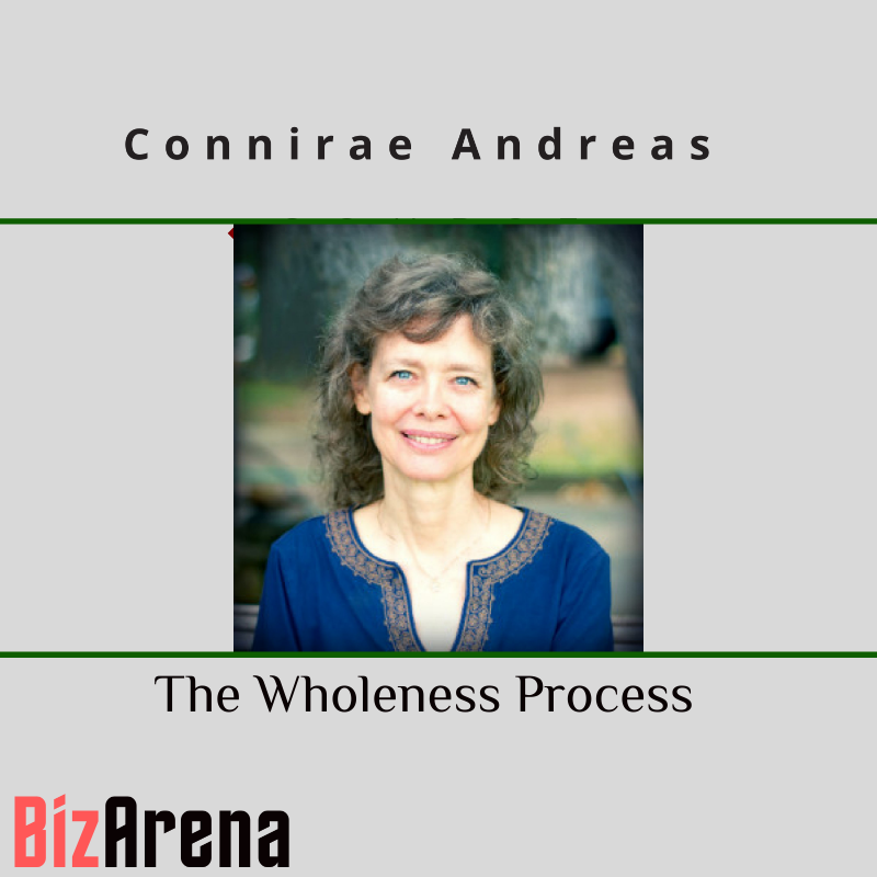 Connirae Andreas – The Wholeness Process Image