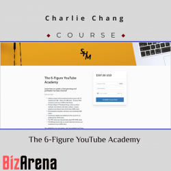 YouTube growth at BizArena