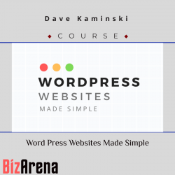 Website design at BizArena