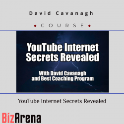YouTube growth at BizArena