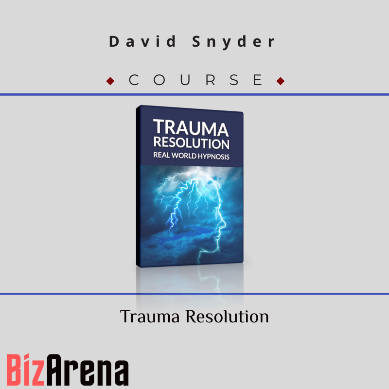 David Snyder - Trauma Resolution Image