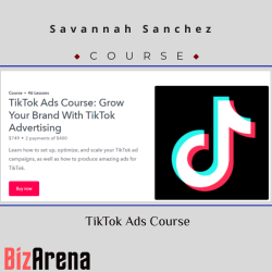 TikTok Ads at BizArena
