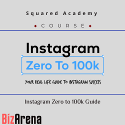 Instagram Growth at BizArena