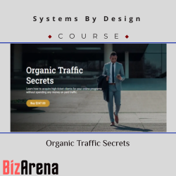 SEO & Traffic at BizArena
