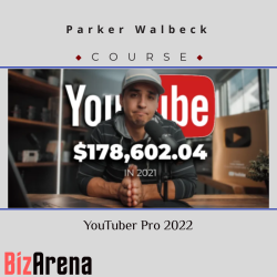 YouTube growth at BizArena