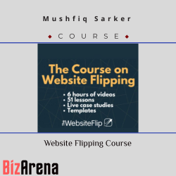 Website design at BizArena