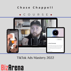 TikTok Ads at BizArena