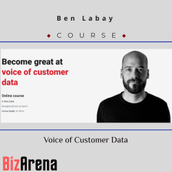 Digital Analytics at BizArena