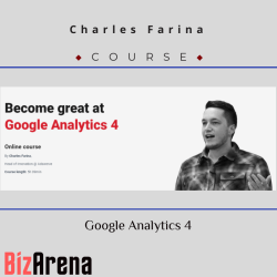 Digital Analytics at BizArena