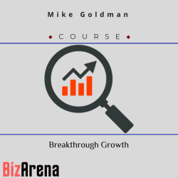 Business Growth at BizArena
