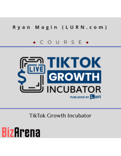 TikTok Ads at BizArena