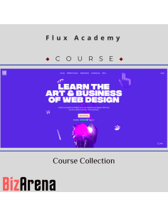 Website design at BizArena