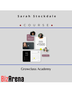 SEO & Traffic at BizArena