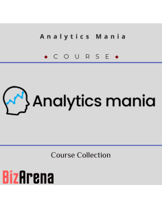 Digital Analytics at BizArena