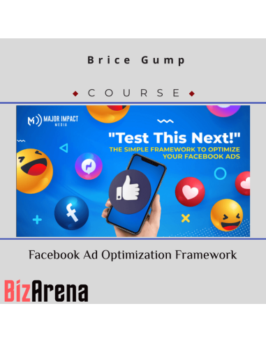 Brice Gump - Facebook Ad Optimization Framework Image