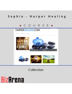 PimpMyMind at BizArena