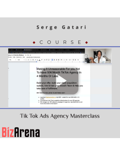 TikTok Ads at BizArena