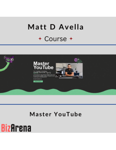 YouTube growth at BizArena