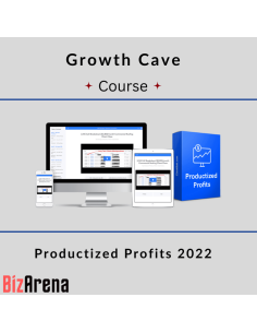 Business Growth at BizArena