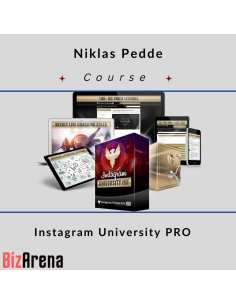 Instagram Growth at BizArena