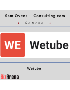 Consulting at BizArena
