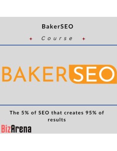 SEO & Traffic at BizArena