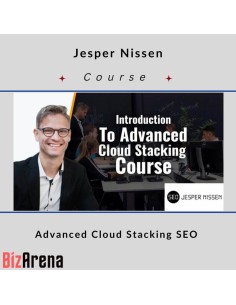 SEO & Traffic at BizArena