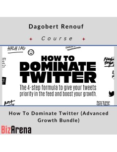 Twitter Growth at BizArena