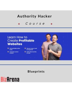 Website design at BizArena
