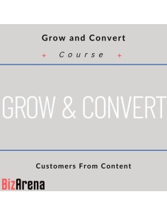SEO & Traffic at BizArena