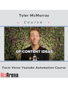 YouTube growth at BizArena