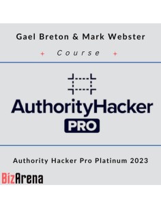 Website design at BizArena