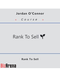 SEO & Traffic at BizArena