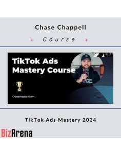 TikTok Ads at BizArena