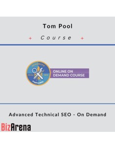 SEO & Traffic at BizArena