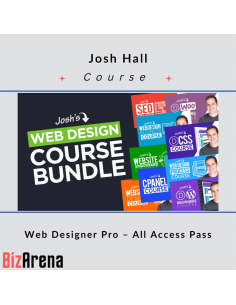 Website design at BizArena